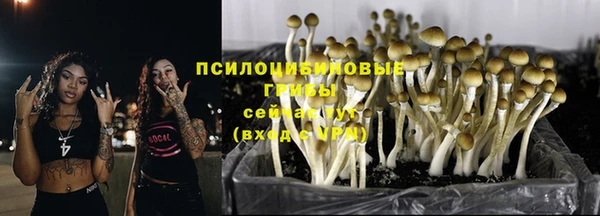 мяу мяу кристалл Алексин