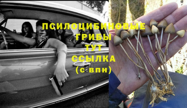 трава Алексеевка