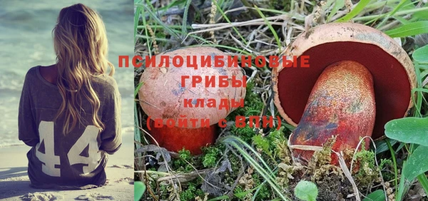 гидропоника Алзамай